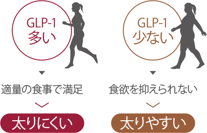 「痩せホルモン」