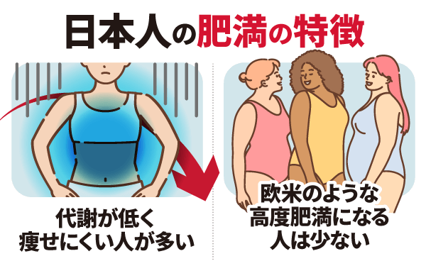 日本人の肥満の特徴