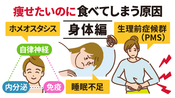 痩せたいのに食べてしまう原因【身体編】