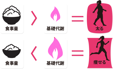 厳しい食事制限なしでダイエットできる