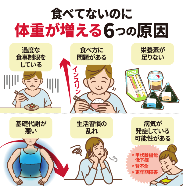 食べてないのに体重が増える6つの原因