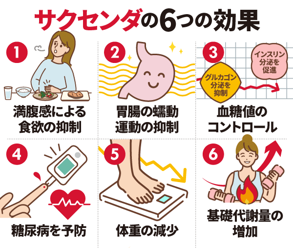 サクセンダの6つの効果