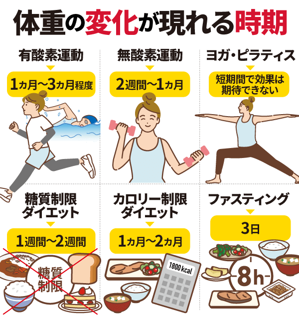体重の変化が現れる時期