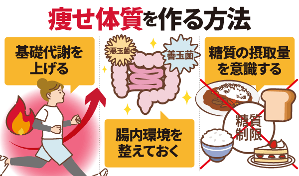 痩せ体質を作る方法