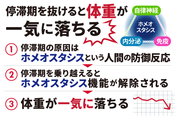 停滞期を抜けると体重が一気に落ちる