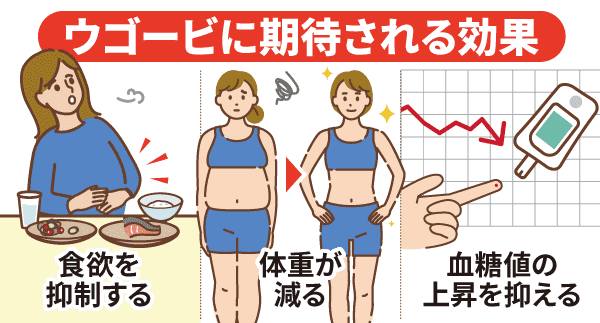 ウゴービに期待される効果