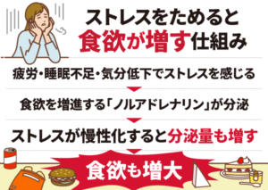 食欲が止まらない原因はストレス？対処法と過食による病のリスク - バウム美容外科