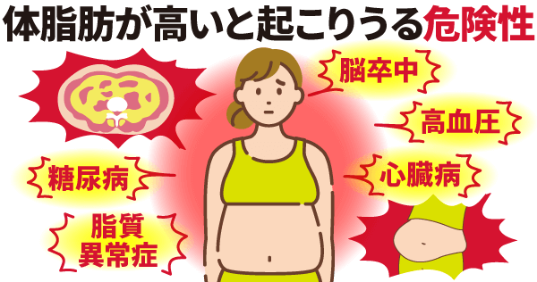 体脂肪が高いと起こりうる危険性