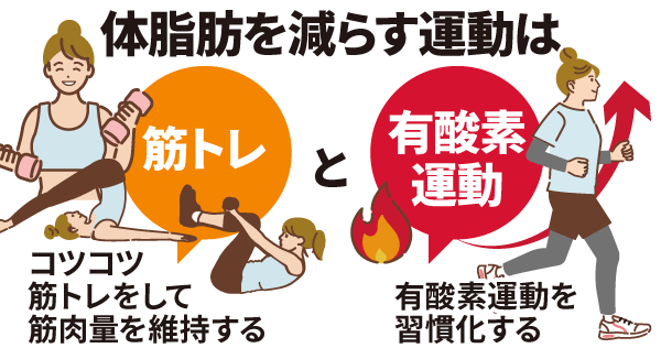 体脂肪を減らす運動は筋トレと有酸素運動