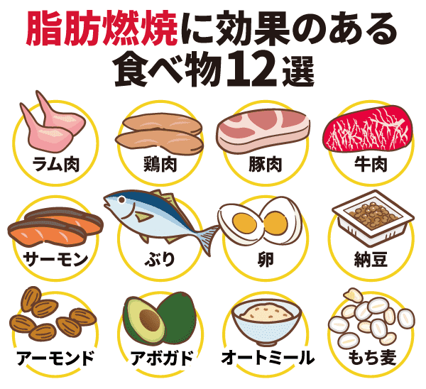 脂肪燃焼に効果のある食べ物12選