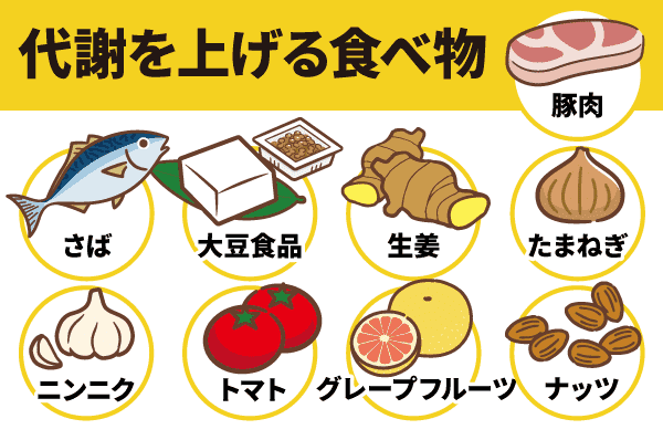 筋力アップ！体ぽかぽか！代謝を上げる食べ物