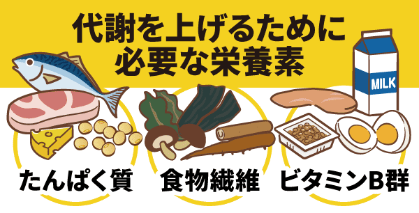 代謝を上げるために必要な栄養素とそれを多く含む食べ物